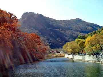 天天彩好彩天天免费，象山网站建设